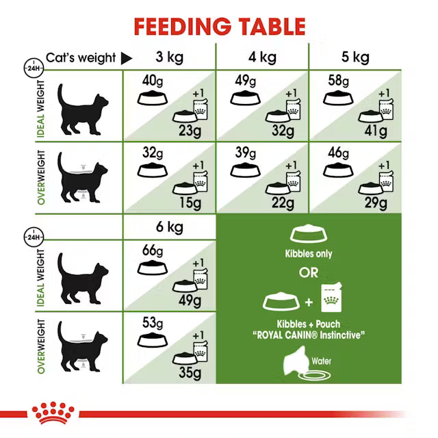Royal Canin Cat Outdoor Dry Food 2 kg